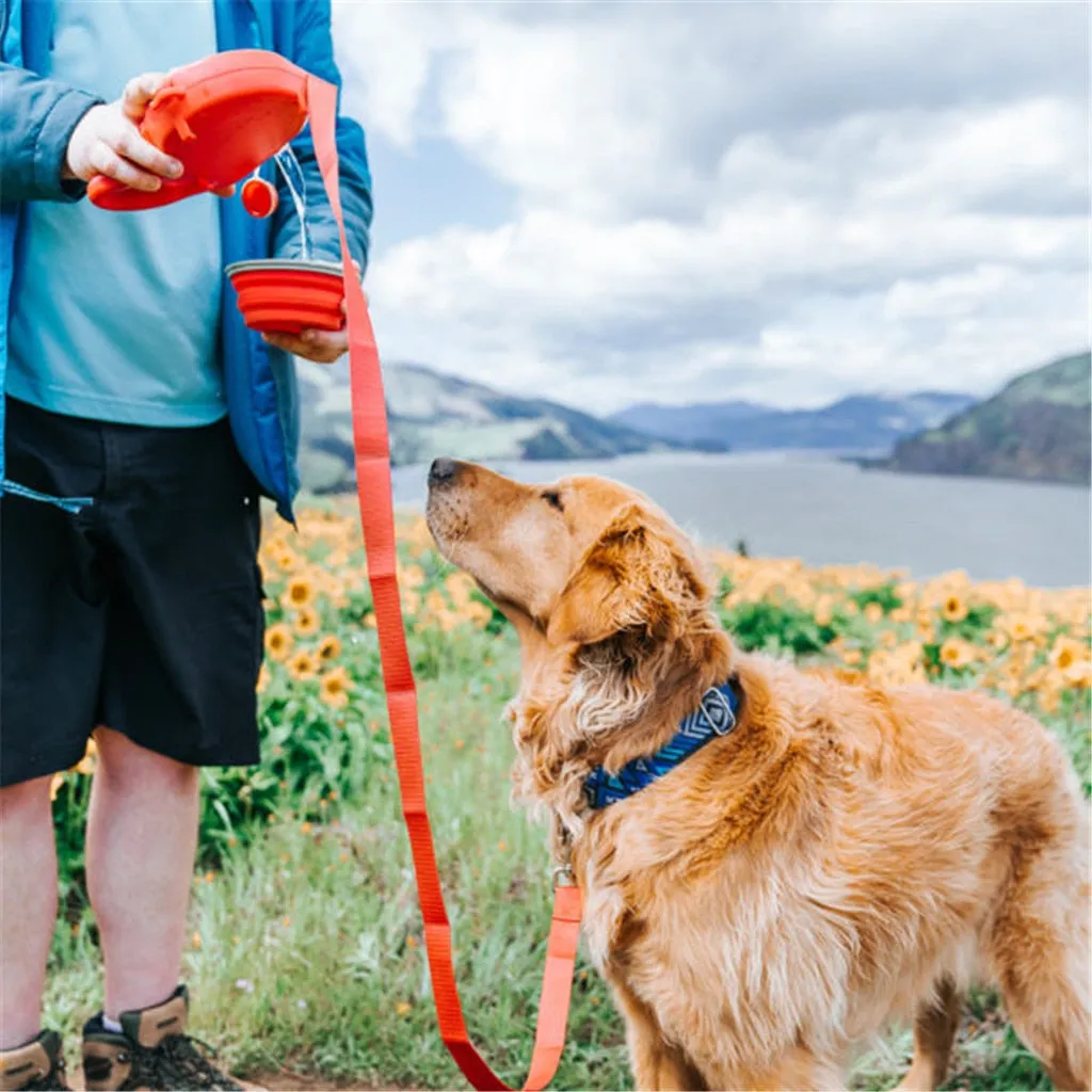 All-in-One Total Retractable Leash