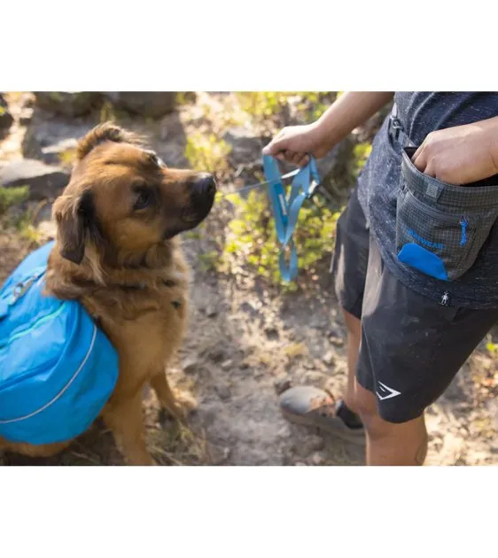 Ruffwear Treat Trader™ Dog Treat Pouch (Blue Pool)