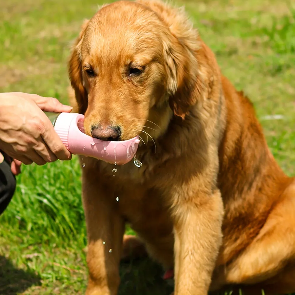 Stay Hydrated OnTheGo with Portable Dog Water Bottle