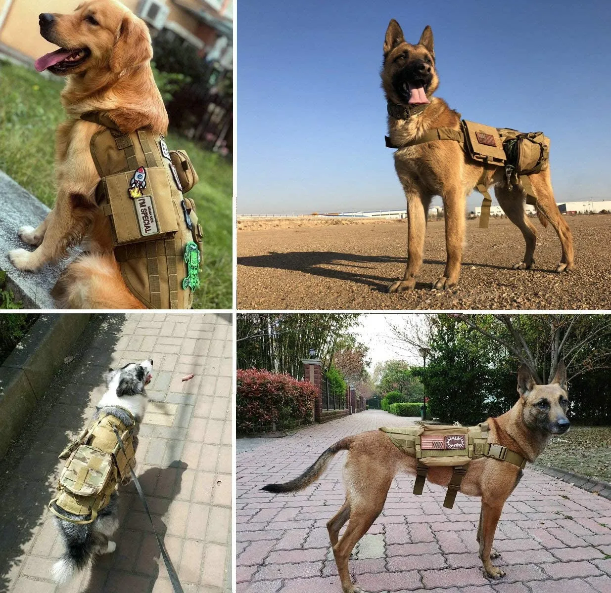 Tactical Dog Molle Vest Harness - Meet Mission Ready! 🐾🛡️